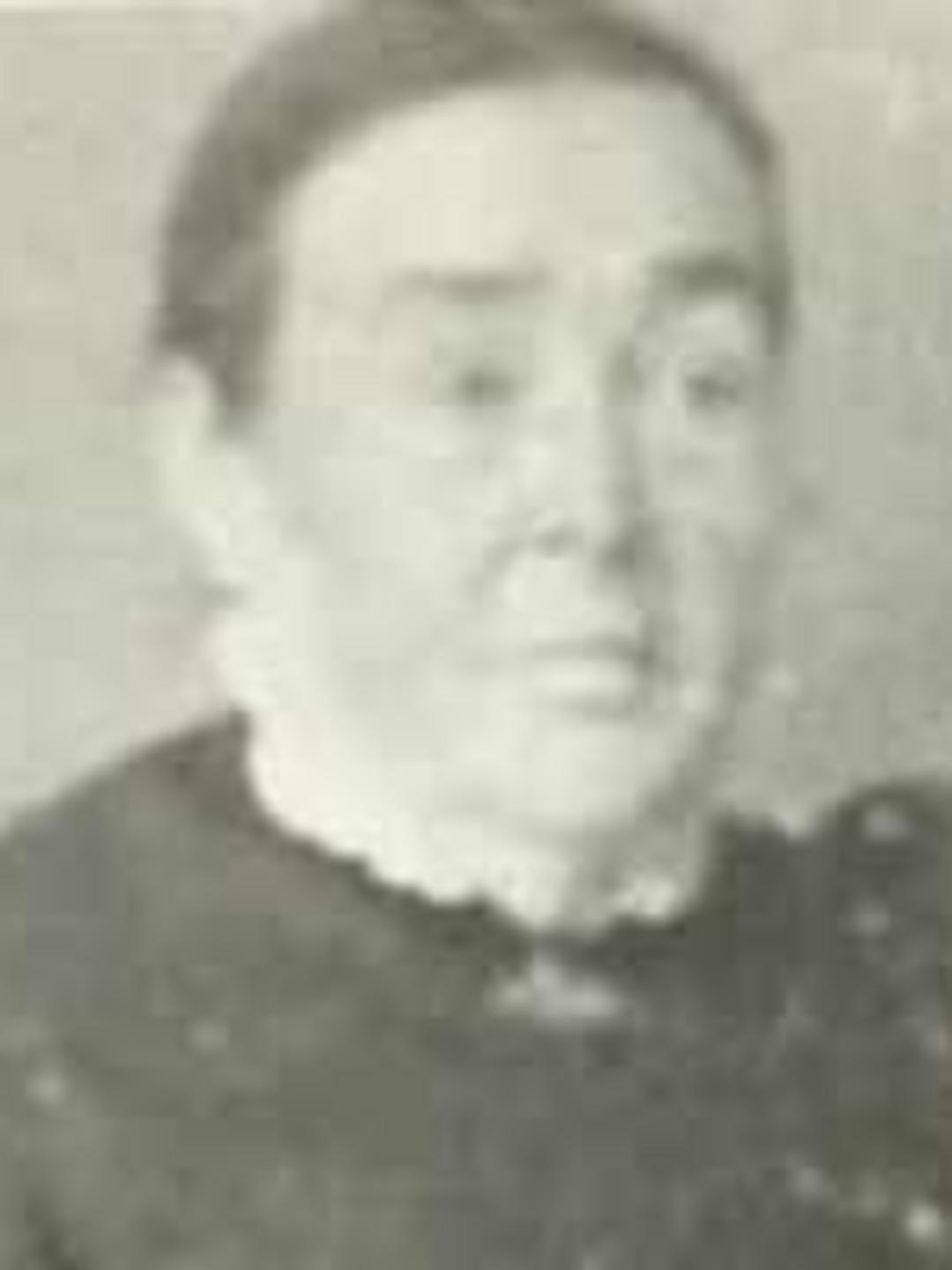 Roxanna Mahala Dustin (1833 - 1904) Profile